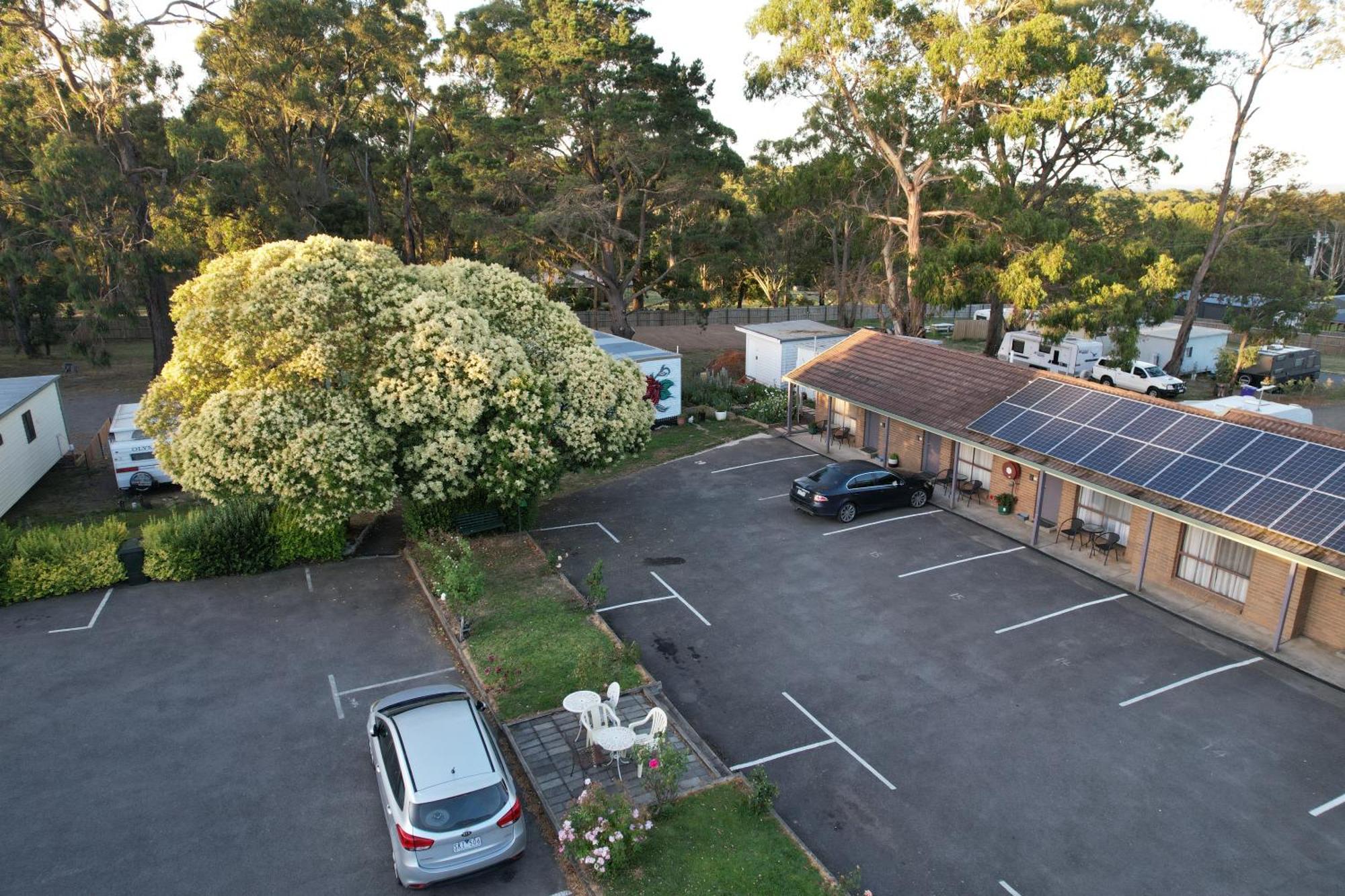 Woodmans Hill Motel Ballarat Exterior photo